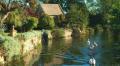 Dovecote - romantic country cottage image 1