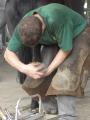 Pete McThune, Farrier (DipWCF) image 1