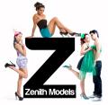 Zenith Models image 2