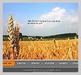 Web Design Hertfordshire - The Holt Partnership image 4