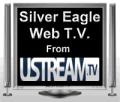 Silver Eagle Web Design logo