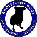 Adolescent Dogs Training School logo