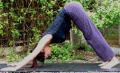 yoga in cheshire image 1