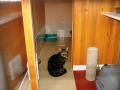 Todhills Boarding Cattery image 10