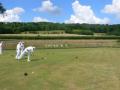 Shere Bowling Club image 2