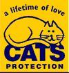 Cats Protection Wear Valley and Darlington logo