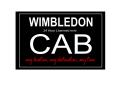 WIMBLEDON MINI CABS image 3