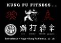 Kung Fu Fitness logo