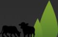 Cattle Creative. Website Design and Online Marketing. logo