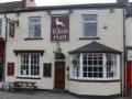 The White Hart image 1