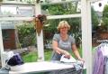 Kathys Ironing Service image 1