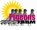 pigeons farm logo