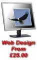 Silver Eagle Web Design image 2