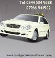 Badger Cars South West Taxis & Mini Buses logo