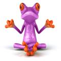 Purple Frog Systems image 1