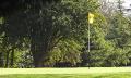 Market Harborough Golf Club image 1