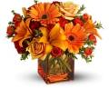 Voluptuous love Flowers image 4