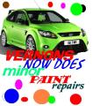 Vernons auto paint logo