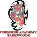 Cheshire Academy TaeKwonDo image 1