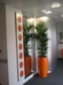 Green Team Interiors Ltd for decorated Christmas trees for offices image 4