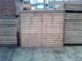 Waltham Forest Fencing and Sheds image 6