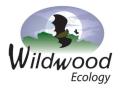 Wildwood Ecology Ltd. logo