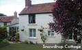 Snowdrop Holiday Cottage image 1