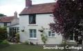 Snowdrop Holiday Cottage logo