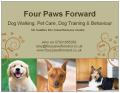 Four Paws Forward image 4