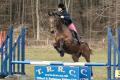 Tilford and Rushmoor Riding Club image 5