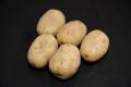 JBA Seed Potatoes image 3