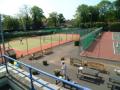 Weybridge Lawn Tennis Club logo