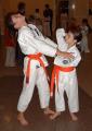 Torquay Kenpo Karate Academy image 3