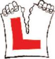 CARL WALKER'S DRIVING SCHOOL logo