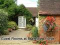 Bramshaw Forge Bed & Breakfast Accommodation image 10