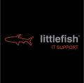 Littlefish IT Support Guildford logo