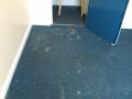 Carpet Cleaning West London image 7