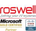 Roswell IT Services Ltd logo