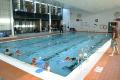 Hemel Hempstead Swimming Club image 3
