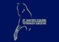 St David's Equine Vets Veterinary Practice - Okehampton - Devon logo