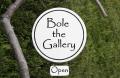 Bole the Gallery logo