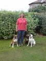 CALM Dog Training & Pet Services image 2