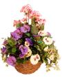 Flowers of Basildon Florist image 6