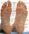 Reflexology Mobile Clinic image 2