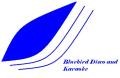 Bluebird Disco and Karaoke logo