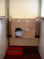 Chimneys Cattery image 6