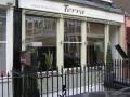Terra Restaurant image 2