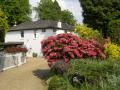 A & A Studley Cottage Bed and Breakfast Accommodation 4 STAR GOLD AWARD image 2
