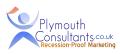 Plymouth Consultants: Online Marketing Consultant logo