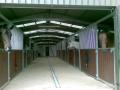 LONG DROVE DRESSAGE CENTRE image 2